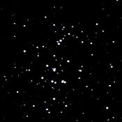 Otvorená hviezdokopa M44 (Jasličky) - 07. marec 2008