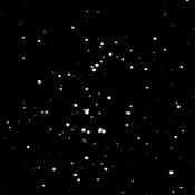 Open cluster M44 (Beehive) - 07 March 2008