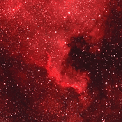 Hmlovina NGC 7000 (Severná Amerika) - 04. máj 2008
